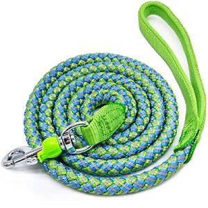 Reflective Heavy Duty Dog Leash - 6ft Green