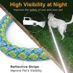 Reflective Heavy Duty Dog Leash - 6ft Green