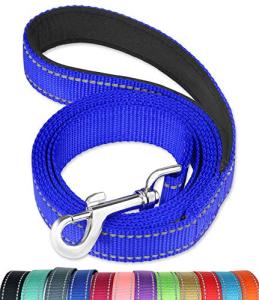 6FT Reflective Dog Leash with Padded Handle