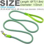 Reflective Heavy Duty Dog Leash - 6ft Green