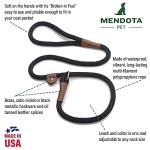 Mendota Slip Leash – Dog Lead and Collar Combo