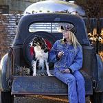 Mendota Slip Leash – Dog Lead and Collar Combo