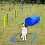 PAWISE Complete Dog Agility Training Course Kit