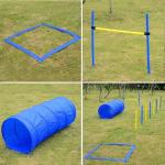 PAWISE Complete Dog Agility Training Course Kit