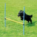 PAWISE Dog Agility Training Set with Hurdles