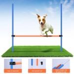 PAWISE Dog Agility Training Set with Hurdles
