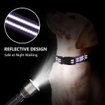 Reflective Adjustable Martingale Dog Collar, Purple