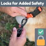 6 Ft Heavy Duty Dog Leash with Padded Handles