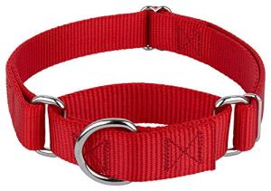 Country Brook Martingale Dog Collar for Training