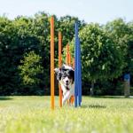 PAWISE Dog Agility Training Set with Weave Poles