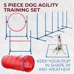 Premium 5-Piece Dog Agility Training Set