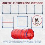 Premium 5-Piece Dog Agility Training Set