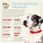 Country Brook Martingale Dog Collar for Training