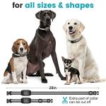 Adjustable Anti-Bark Collar for Small to Large Dogs