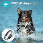 Adjustable Anti-Bark Collar for Small to Large Dogs