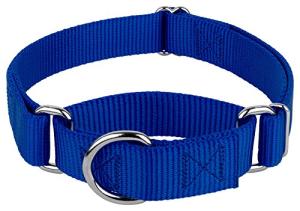 Country Brook Petz Martingale Dog Collar - 1 Inch