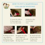 Country Brook Petz Martingale Dog Collar - 1 Inch