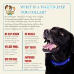 Country Brook Petz Martingale Dog Collar - 1 Inch