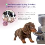 Automatic Pet Feeder with Water Dispenser - Taupe