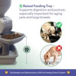 Automatic Pet Feeder with Water Dispenser - Taupe
