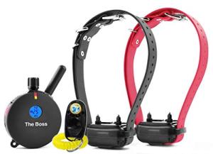 Rechargeable Waterproof E-Collar for Two Dogs