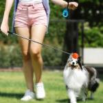 Dog and Cat Training Kit with Clicker and Whistle