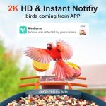 Smart Bird Feeder with Camera and 64GB Card