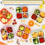 6 Pack Divided Snack Containers for Meal Prep