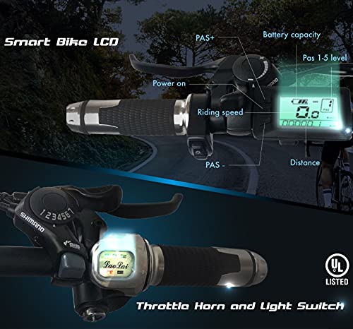 YinZhiBoo Electric Bike: Fat Tire E-Bike, 1000W 48V/13AH