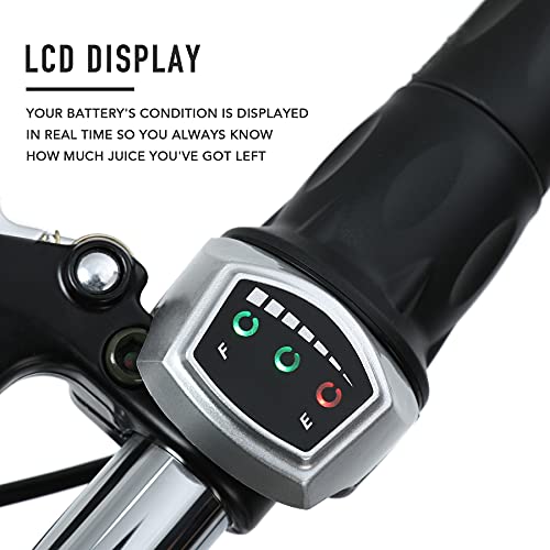 Electric Tricycle for Adults - Viribus 24" Ebike