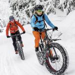 Electric Fat Tire Snow eBike 500W 26