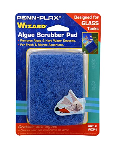 Aquarium Algae Cleaning Pad - Blue 3" x 4