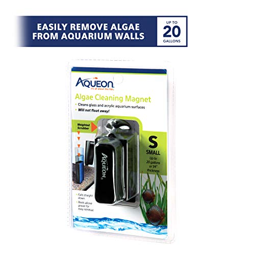 Aqueon Small Algae Cleaning Magnet