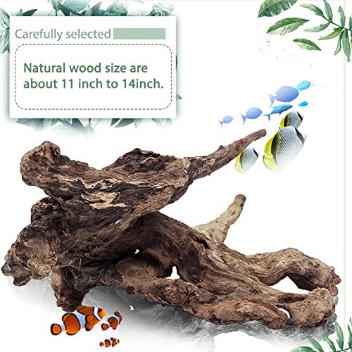 Large Natural Driftwood Aquarium/Fish Tank Decor