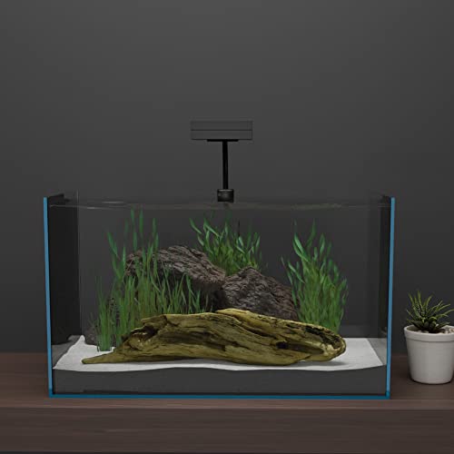 55.9 Gallon Glass Rimless Fish Tank