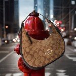 COACH Bailey Luxury Hobo Shoulder Bag