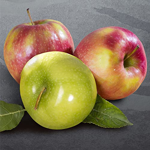 Cheese and Nuts Delight Fruit Gift Basket