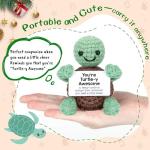 Funny Mini Turtle Gift Basket for All Ages