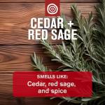 Men's Bath and Body Gift Set - Cedar & Sage
