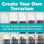 Kids Grow 'N Glow Terrarium Kit Gift