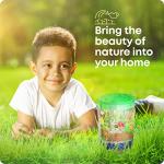 Dan&Darci Light-Up Terrarium Kit for Kids - STEM Science Kit - Educational DIY Toy for Boys & Girls - Birthday Craft Project Idea for Ages 6 7 8 9 10 11 12 Year Old