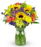 Benchmark Bouquets - Flowering Fields (Glass Vase Included) - Fresh Flowers for Delivery - Gift for Birthday, Anniversary, Sympathy, Get Well, Congratulations, Thanksgiving, Christmas