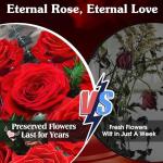 ADDWel Preserved Red Rose Bouquet – A Dozen Real Fresh Flowers for Delivery on Christmas Valentine's Day Birthday Anniversary, Romantic Gifts for Wife, Girlfriend, Her