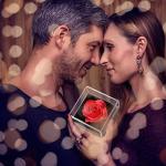 "Real Preserved Rose and Necklace Gifts Set for Mom Wife Girlfriends – Anniversa