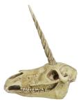 Rare Ancient Unicorn Skull Statue for Collectors