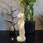 Venus Candle: Mythical Statue Soy Wax Scented