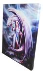 Dragon Mage Sorceress Canvas Art by Anne Stokes