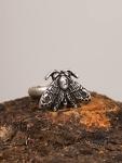 Witchy Crescent Moon Moth Adjustable Ring