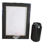 Dragon Mage Sorceress Canvas Art by Anne Stokes