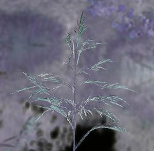 Mythical Dark Poetry and Prose Book Three